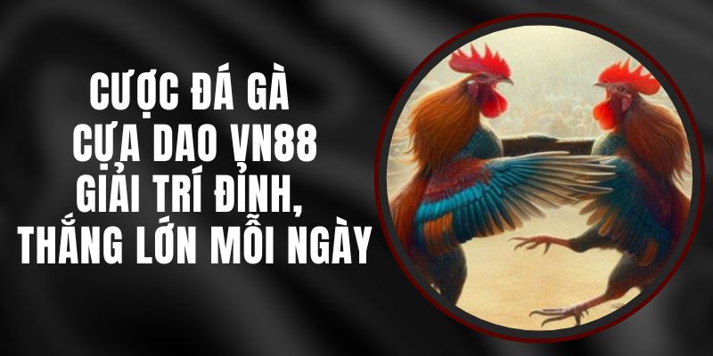 Cược Đá Gà Cựa Dao VN88 - Giải Trí Đỉnh, Thắng Lớn Mỗi Ngày